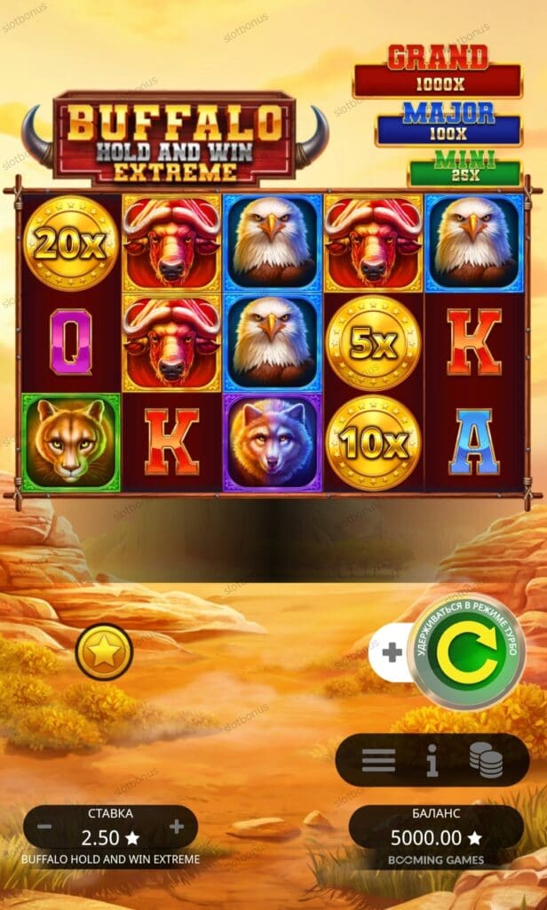 Buffalo Hold and Win Extreme демо