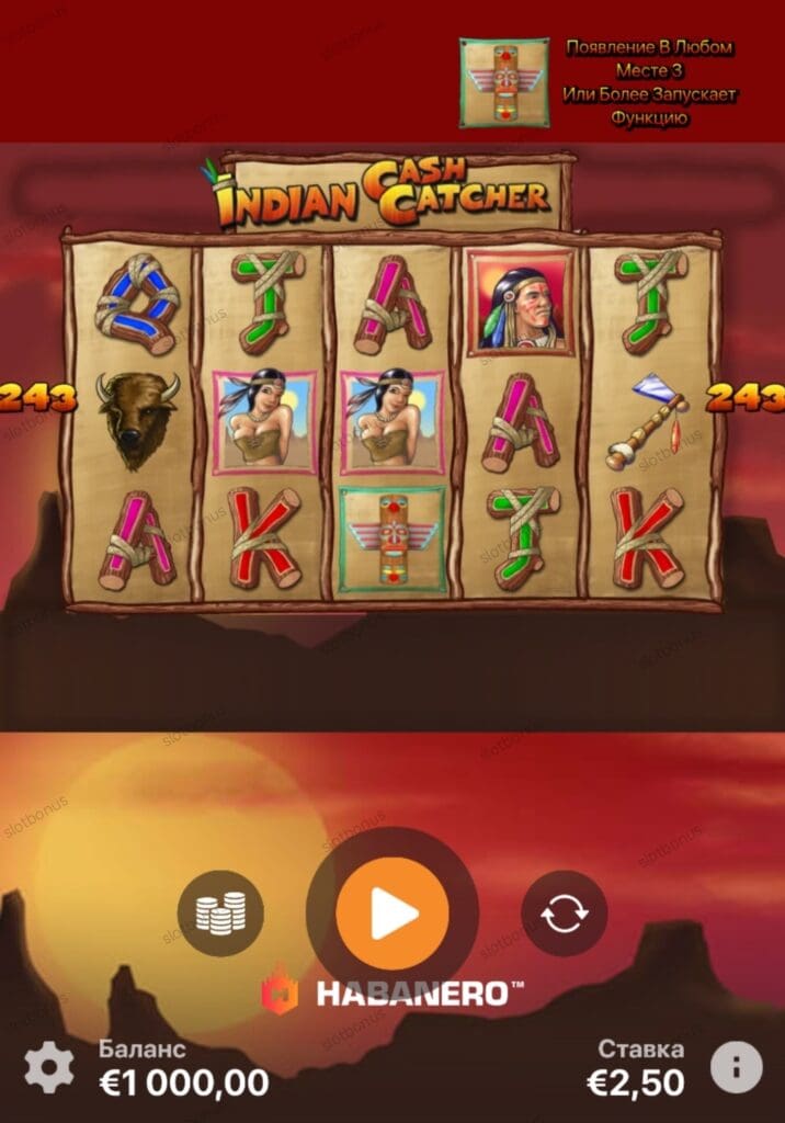 Indian Cash Catcher демо
