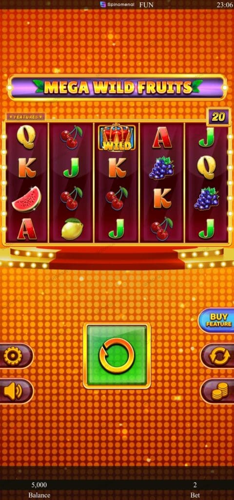 Mega Wild Fruits демо