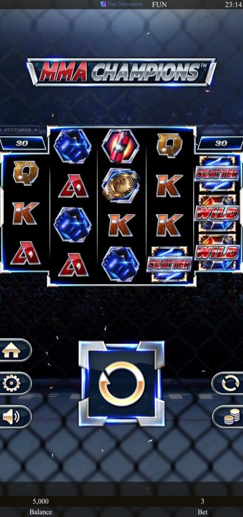 MMA Champions демо