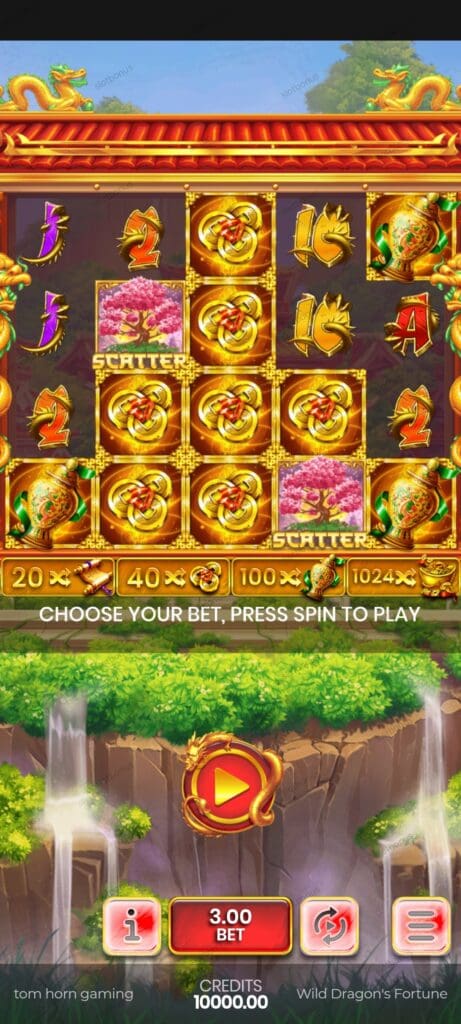 Wild Dragon’s Fortune демо